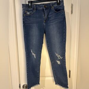 ARTICLES OF SOCIETY CROPPED JEANS
